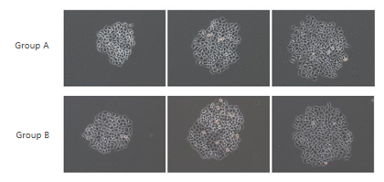 Serum-free Medium for Exosome (Phenol red-free)