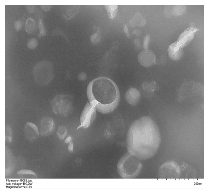 Exosome Extraction and Purification Kit - Column Purification Method (Cell Supernatant)