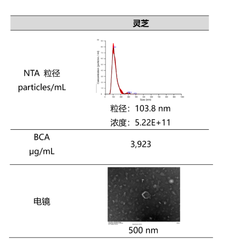 Large Fungal Vesicle Extraction and Purification Kit