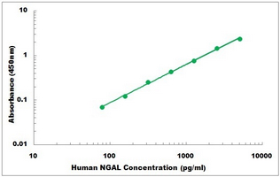Human NGAL ELISA Kit