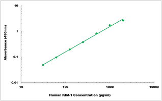 Human KIM-1 ELISA Kit